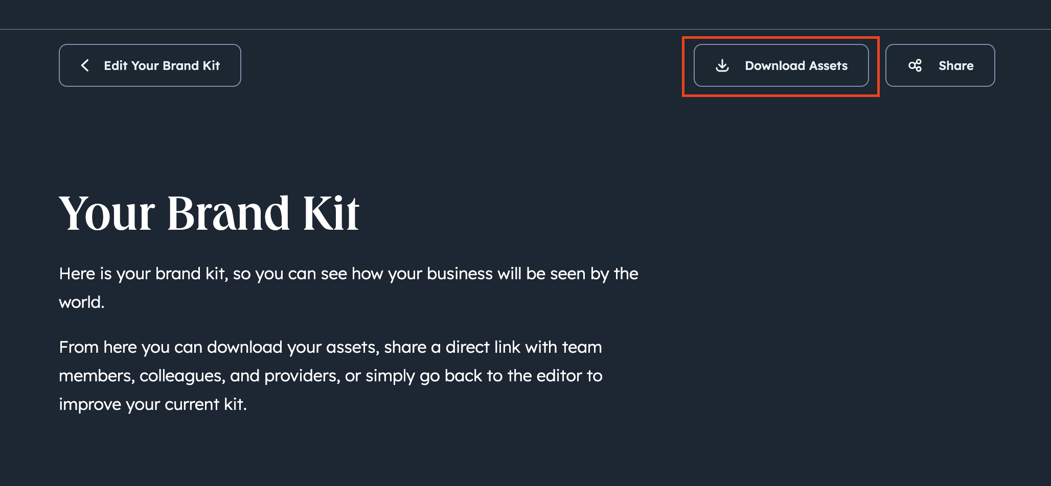 Screenshot of brand kit generator where you can download the assets