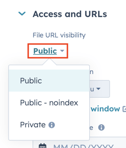 Screenshot of file URL visibility