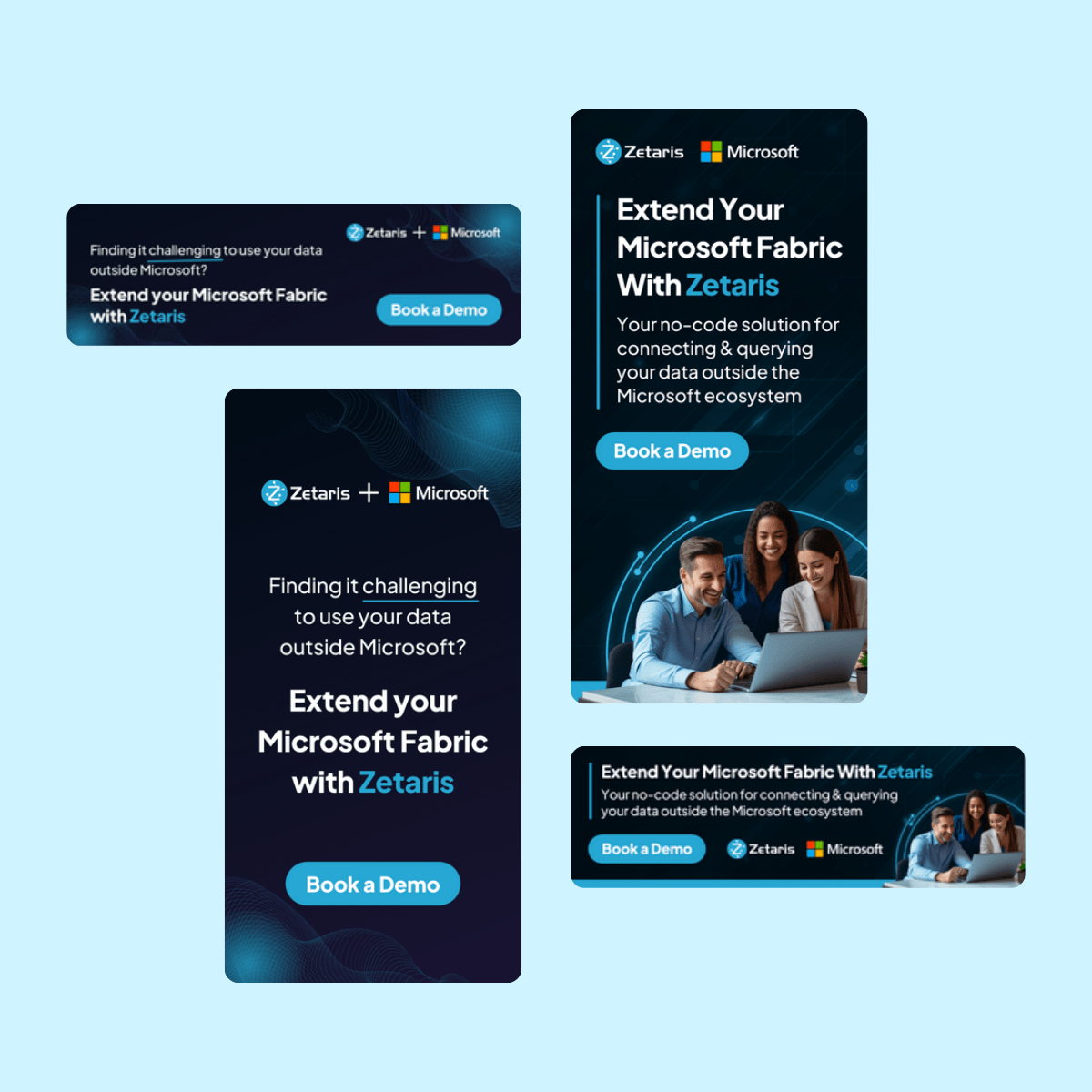 Zetaris google ads