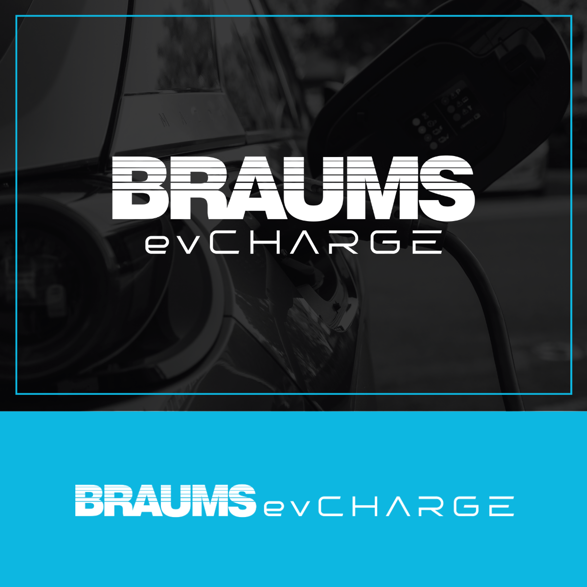 BRAUMS Branding 2