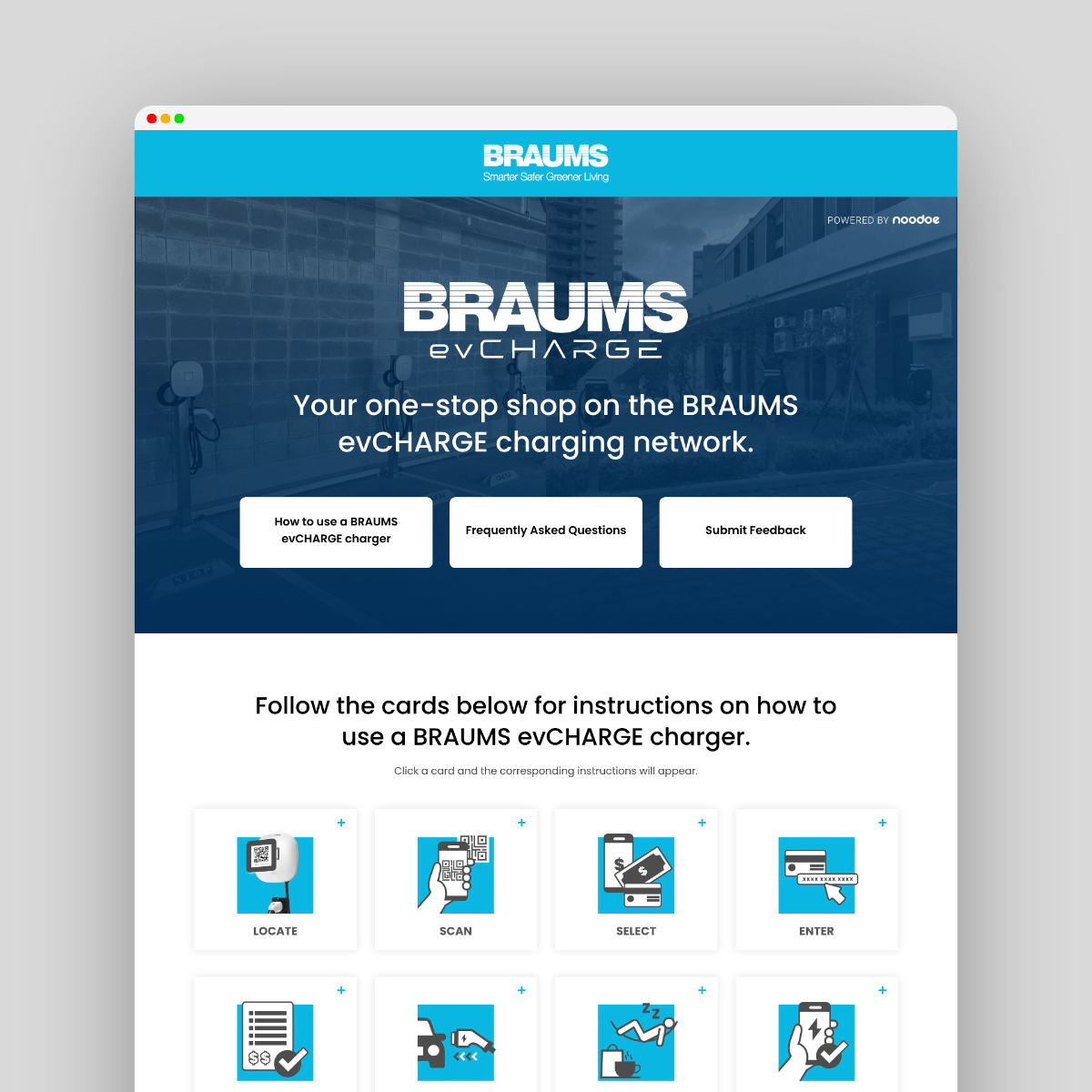 BRAUMS 1 